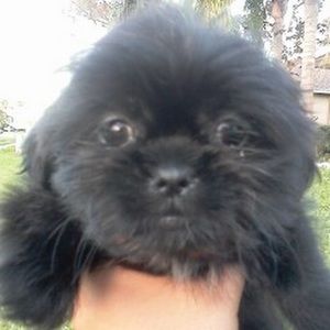 Meet your Posher, Maria